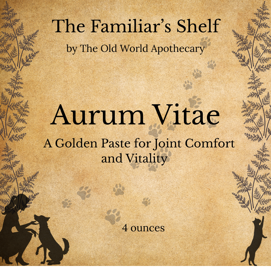Aurum Vitae * Turmeric and Cinnamon paste for Dogs and Cats