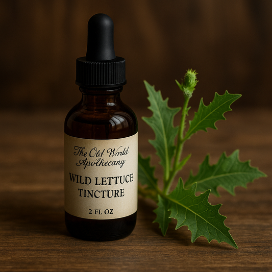 Wild Lettuce  Lactuca virosa Tincture 2 fluid ounce