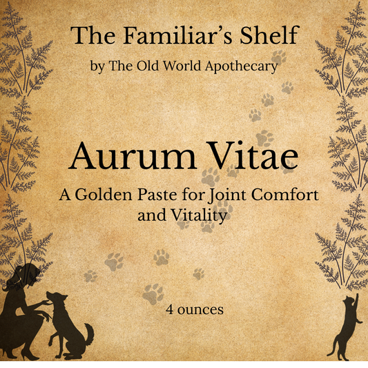 Aurum Vitae * Turmeric and Cinnamon paste for Dogs and Cats