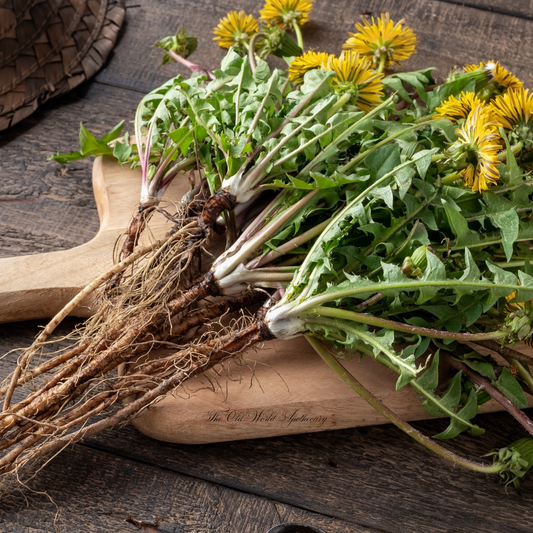 Organic Dandelion Leaf Tincture 2 fluid oz