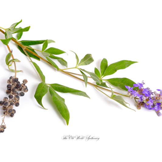 Organic Chaste Tree Berry (Vitex) Tincture 2 fluid oz