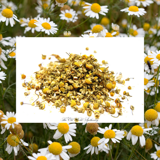 Organic Chamomile Flower Tincture 2 fluid oz