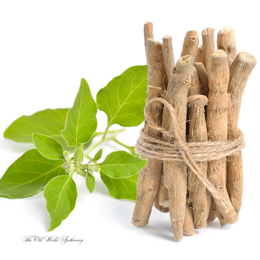 Organic Ashwagandha Root Tincture 2 fluid oz