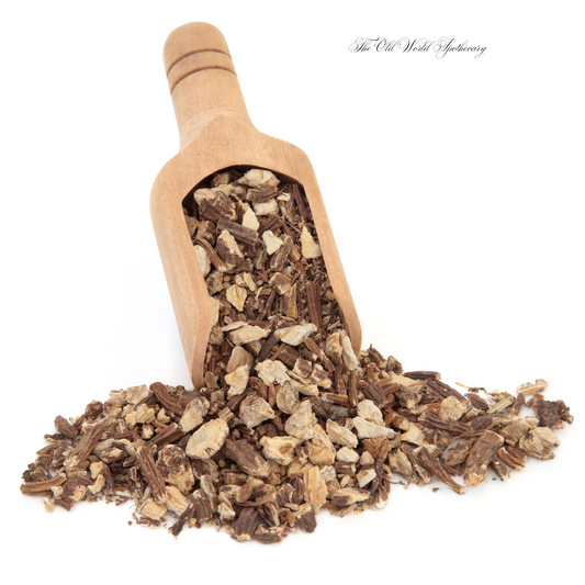 Organic Angelica Root Tincture 2 fluid oz